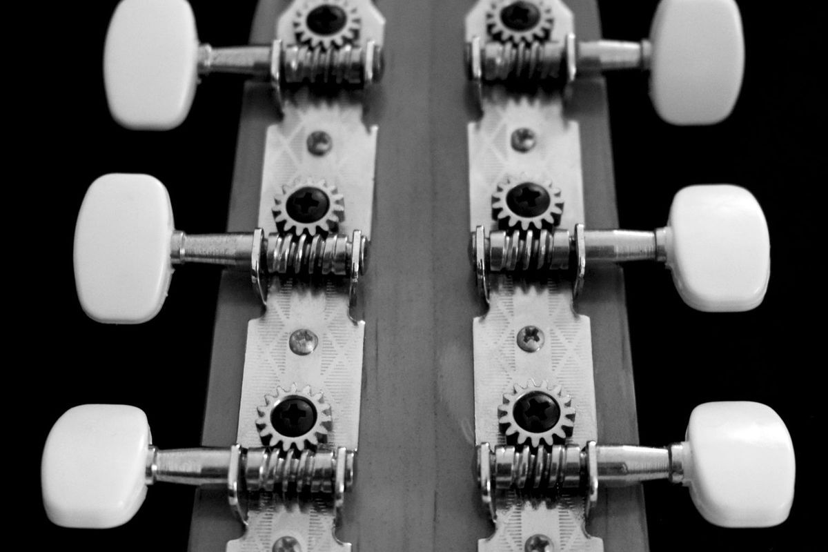 Guitar tuning machines in black and white